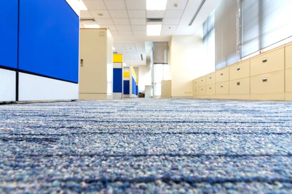 Business Carpet Cleaning in Cave Creek