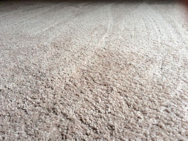 Plush Carpet Installation in Cave Creek